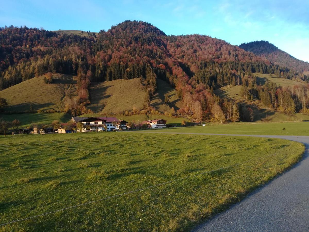 Bio- Bauernhof Obermaurach Leilighet Walchsee Eksteriør bilde